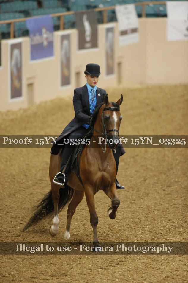 Proof 15YN_03325