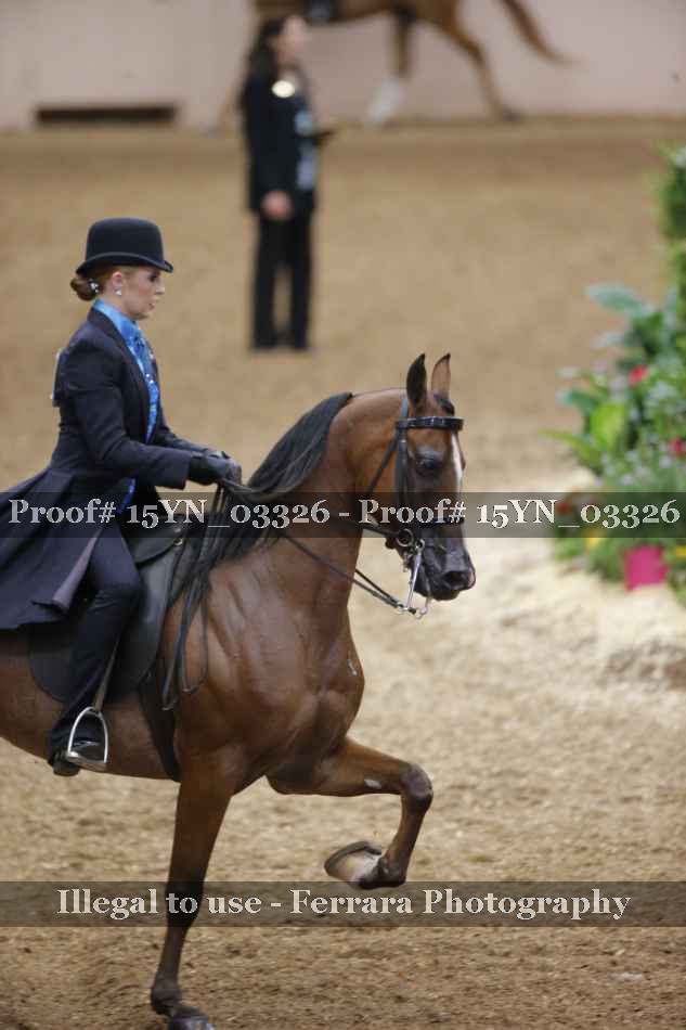 Proof 15YN_03326