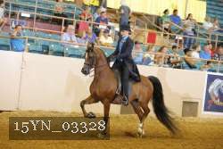 15YN_03328 proof