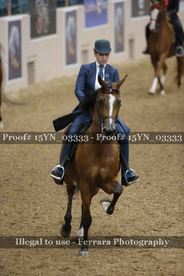 Proof 15YN_03333