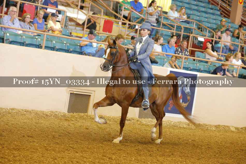 Proof 15YN_03334