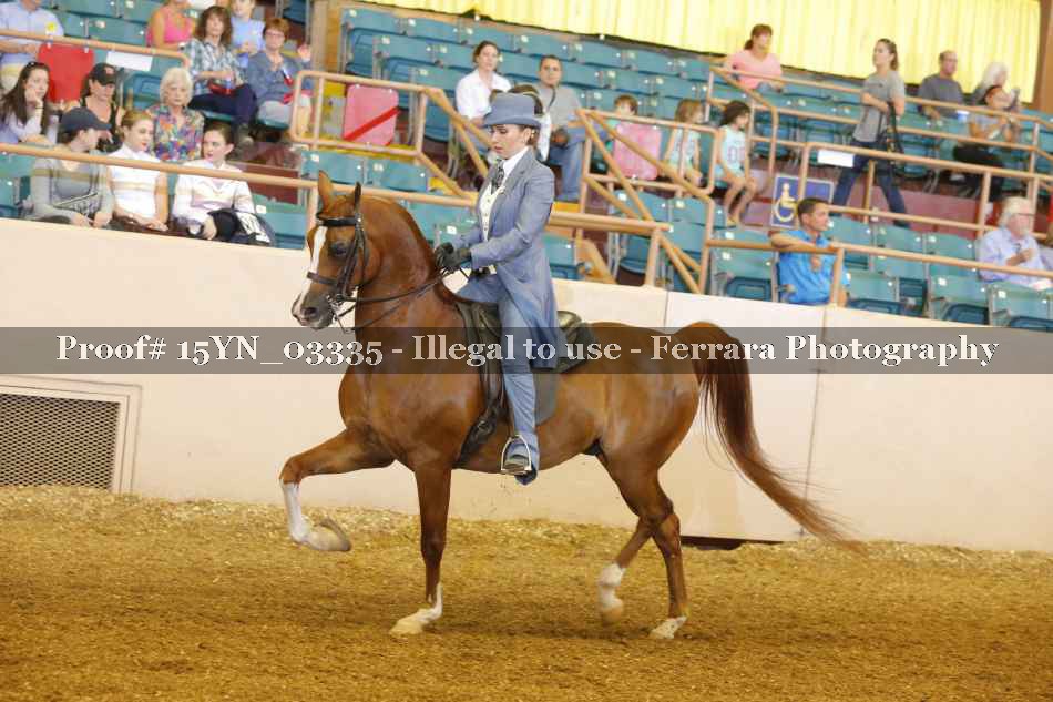 Proof 15YN_03335