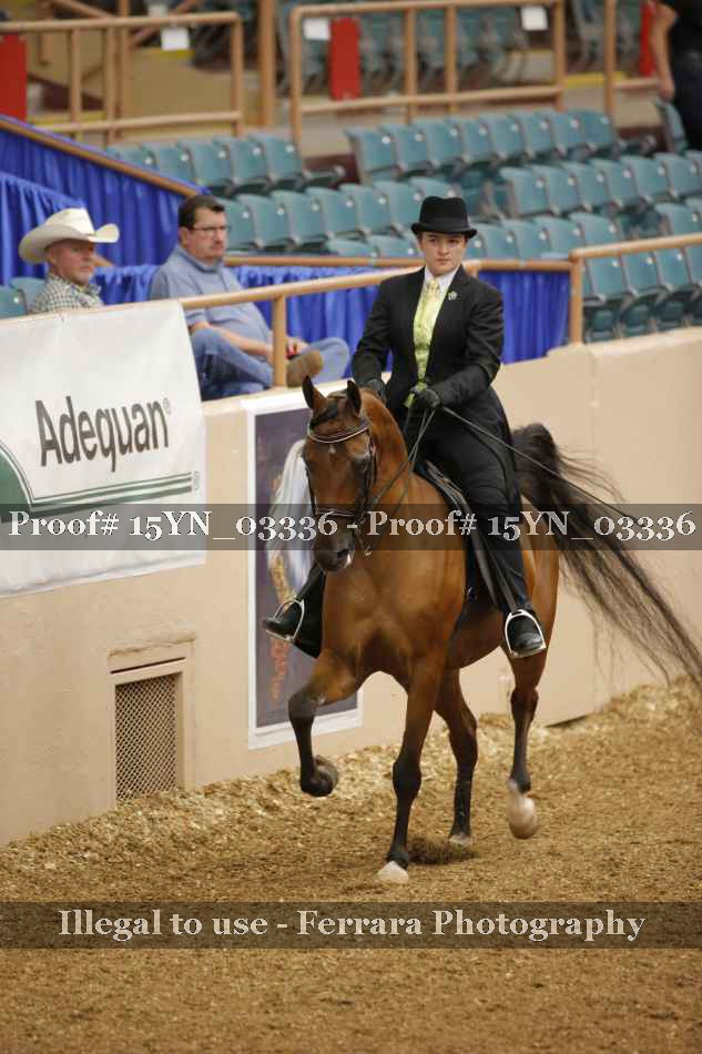 Proof 15YN_03336