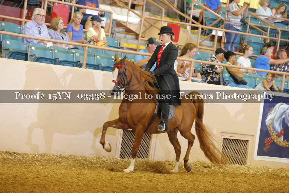 Proof 15YN_03338