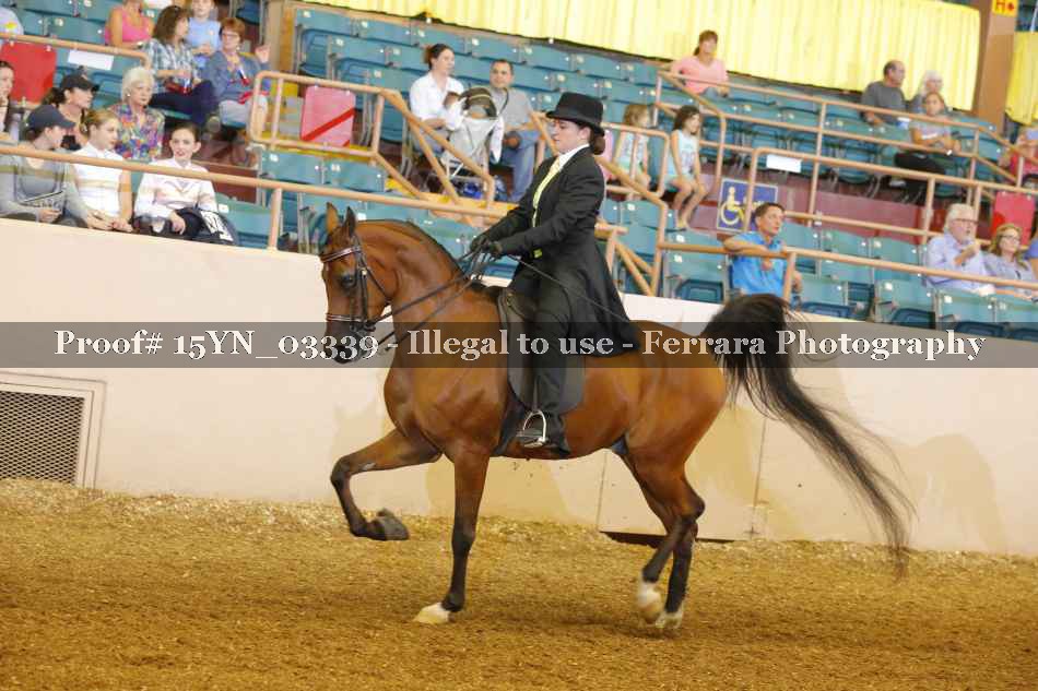 Proof 15YN_03339