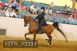 15YN_03339 proof