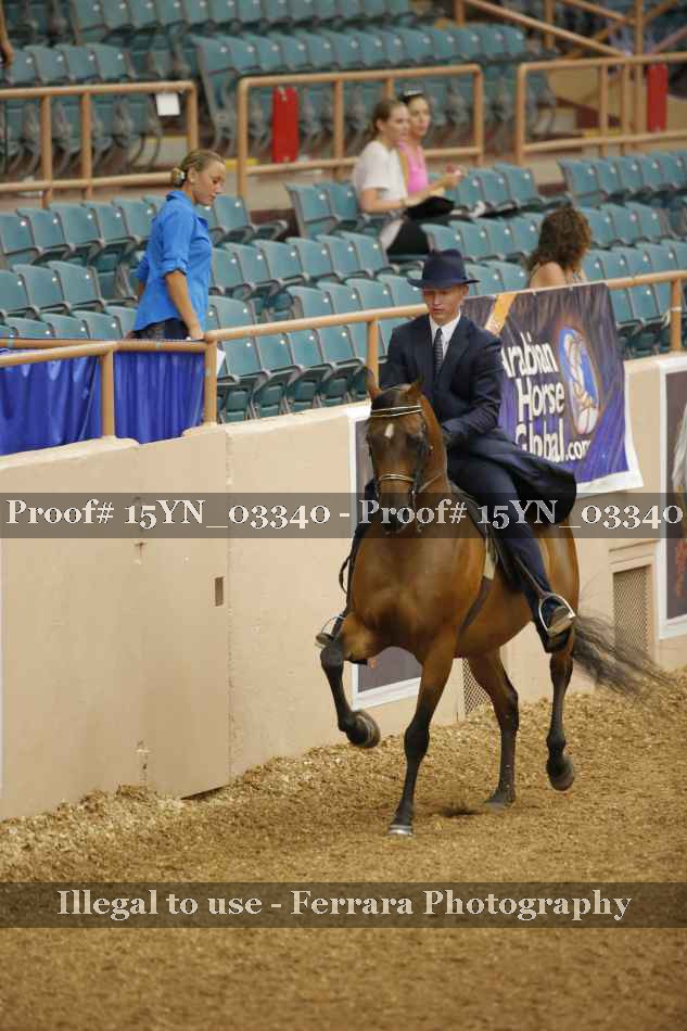 Proof 15YN_03340