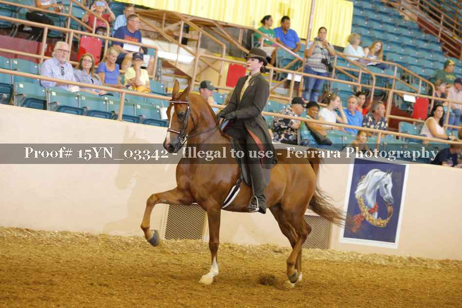 Proof 15YN_03342