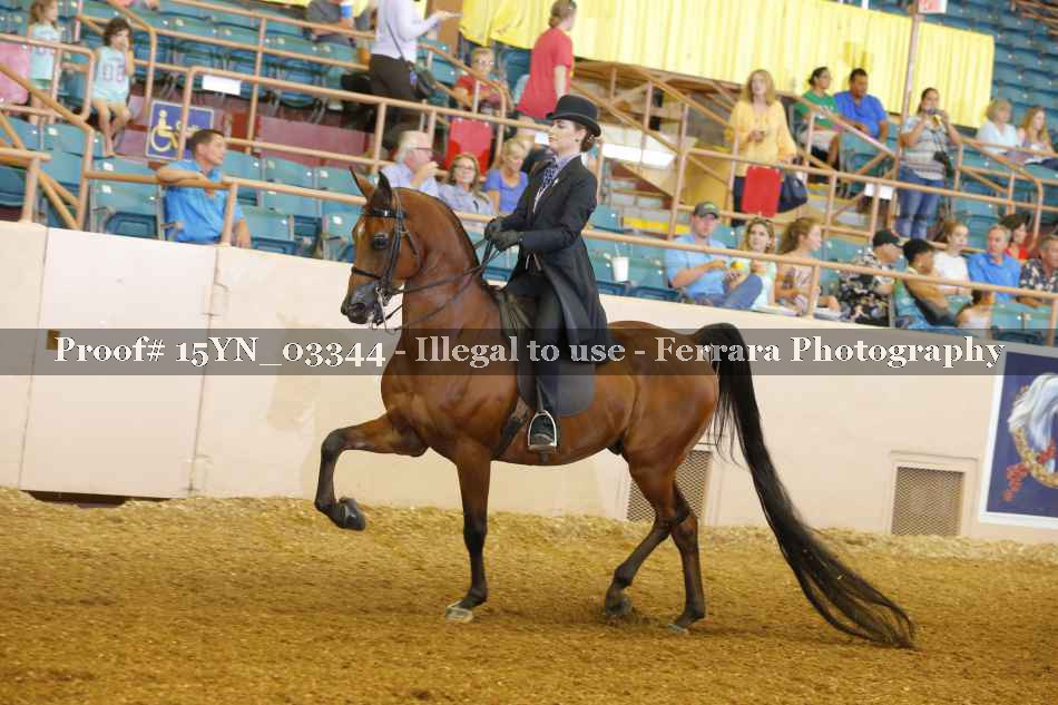 Proof 15YN_03344