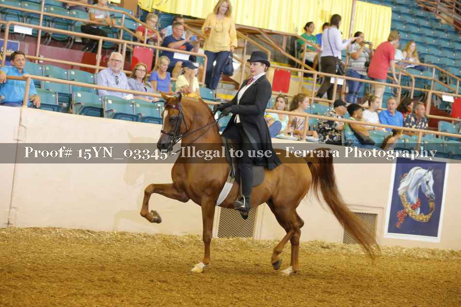 Proof 15YN_03345