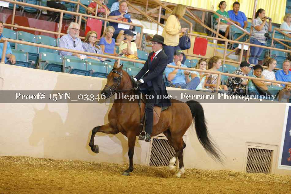 Proof 15YN_03346