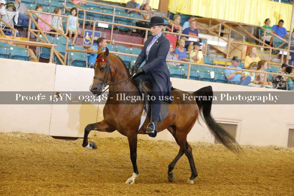 Proof 15YN_03348