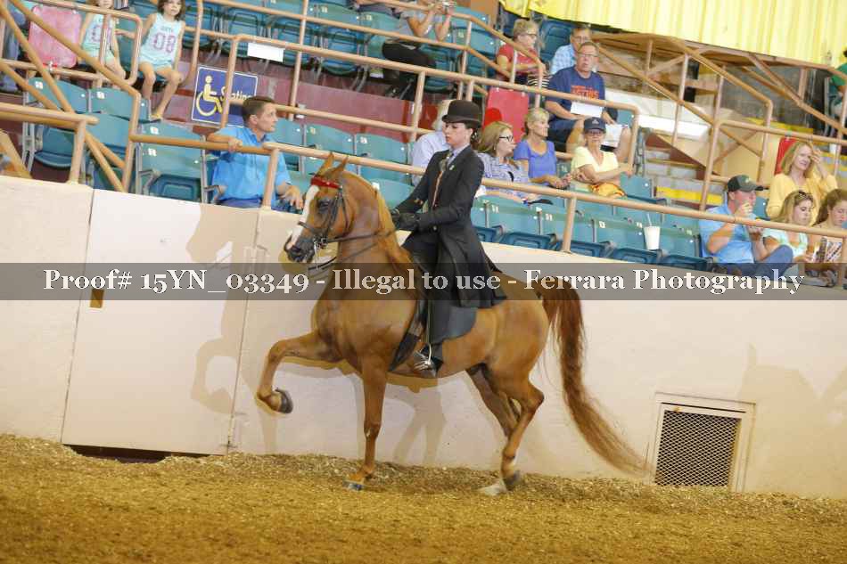 Proof 15YN_03349