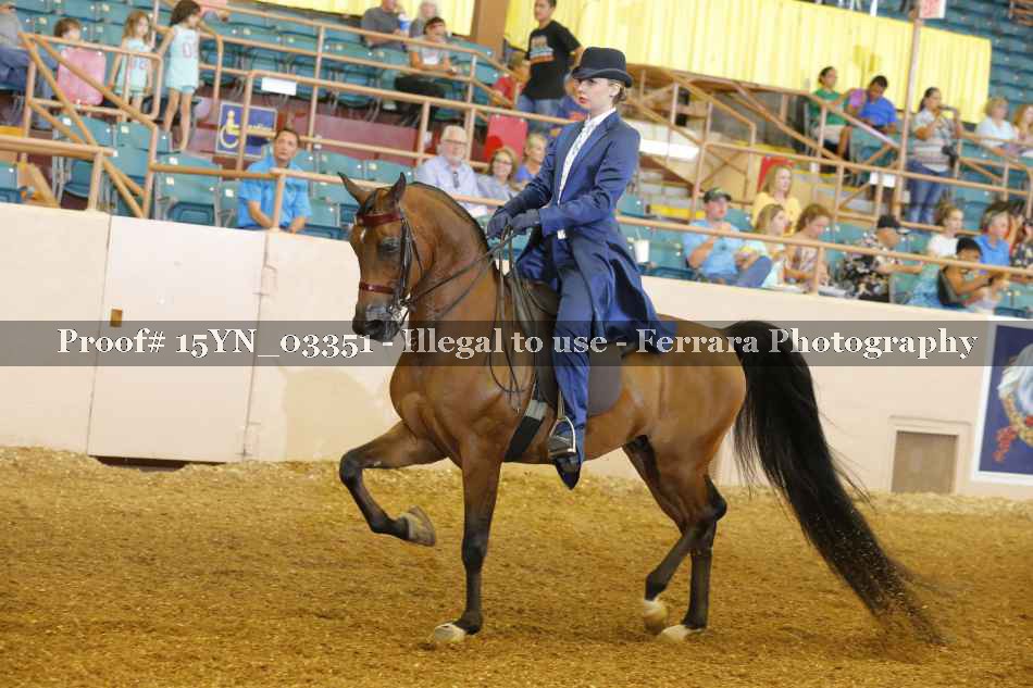 Proof 15YN_03351