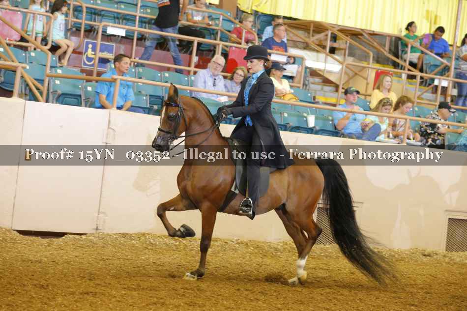 Proof 15YN_03352