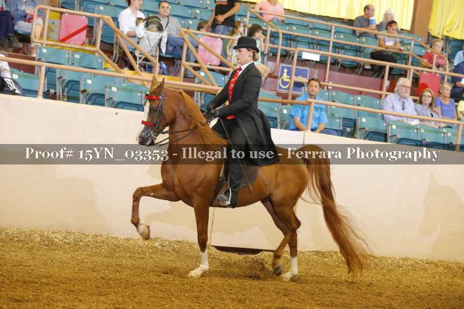 Proof 15YN_03353