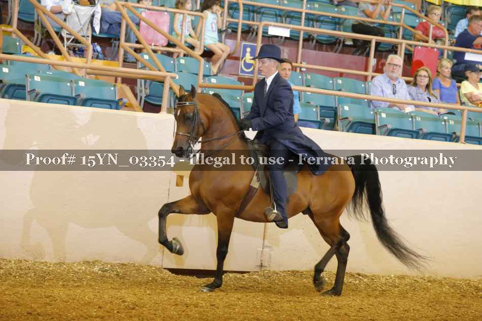 Proof 15YN_03354