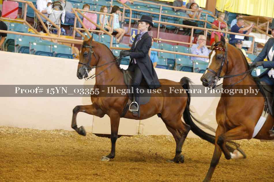 Proof 15YN_03355