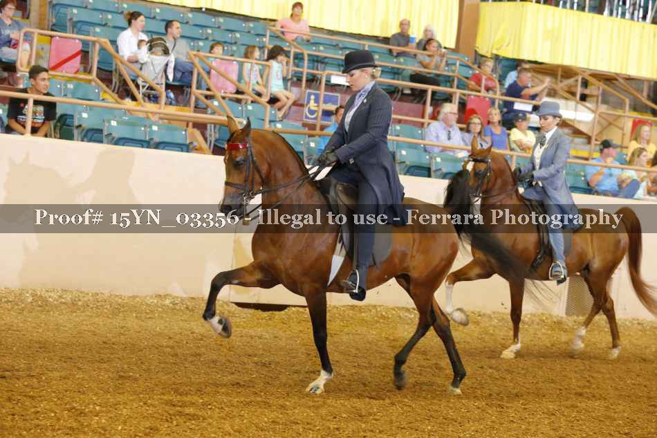 Proof 15YN_03356