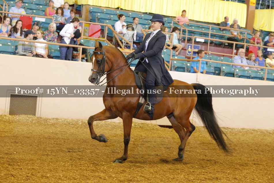 Proof 15YN_03357