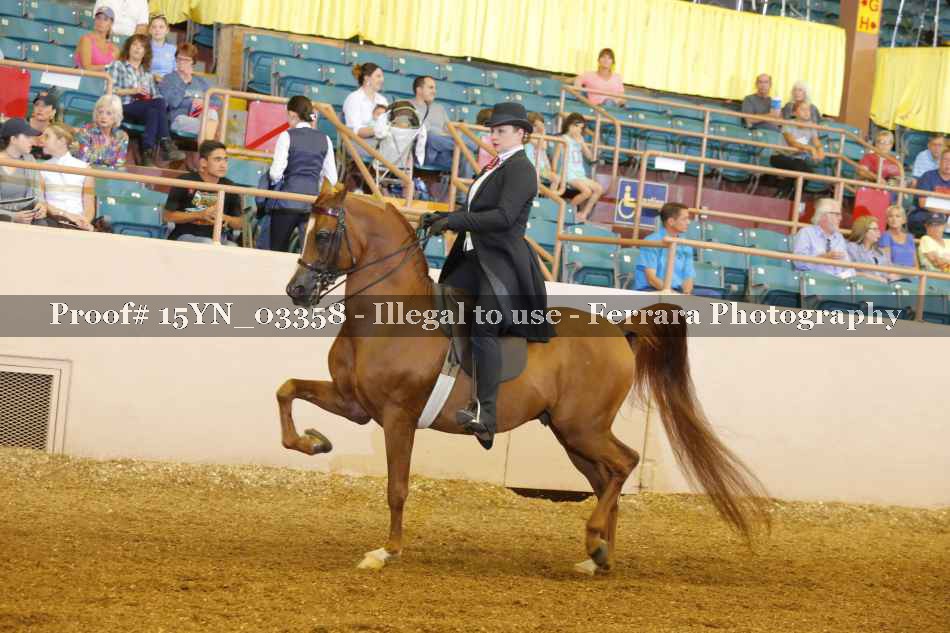 Proof 15YN_03358