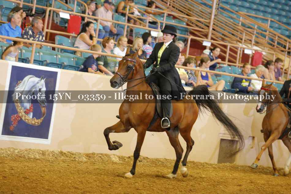 Proof 15YN_03359