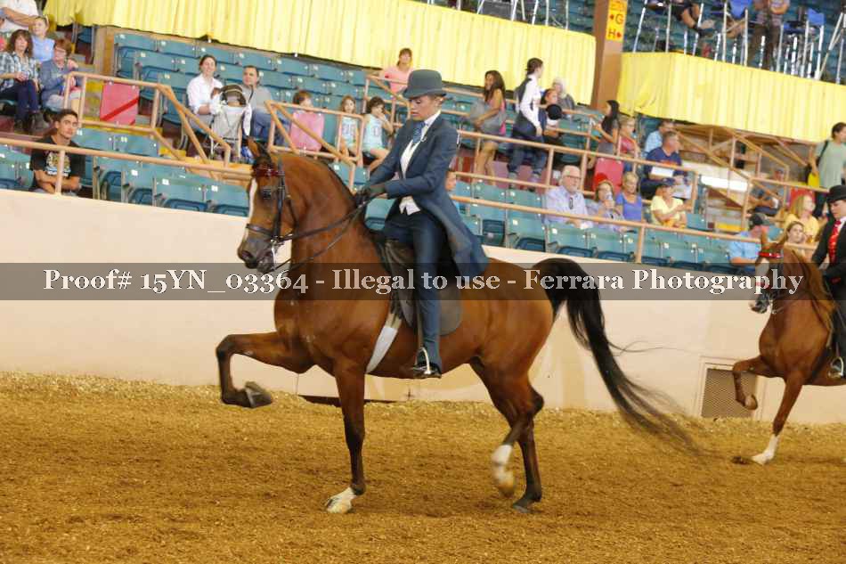 Proof 15YN_03364