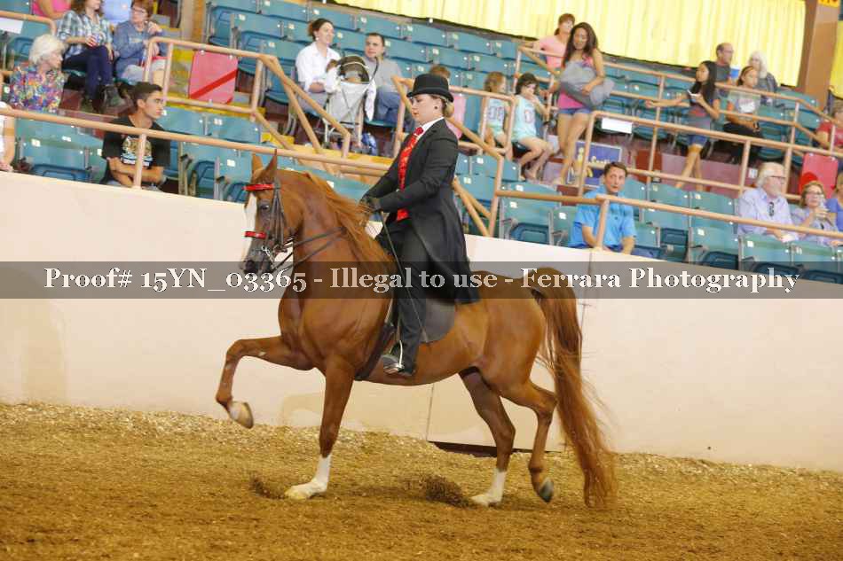 Proof 15YN_03365
