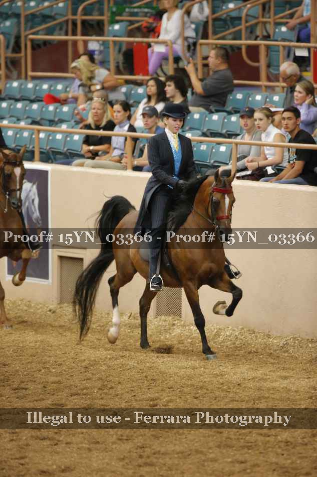Proof 15YN_03366