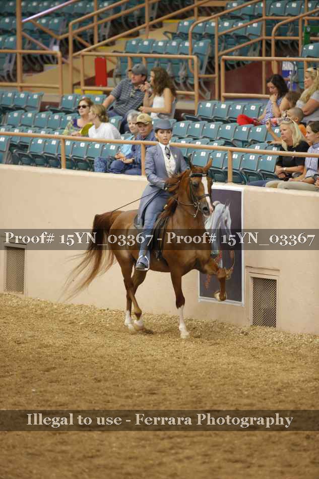 Proof 15YN_03367