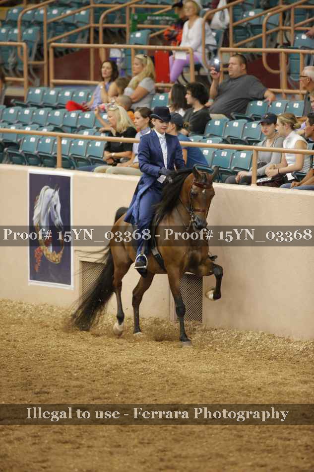 Proof 15YN_03368