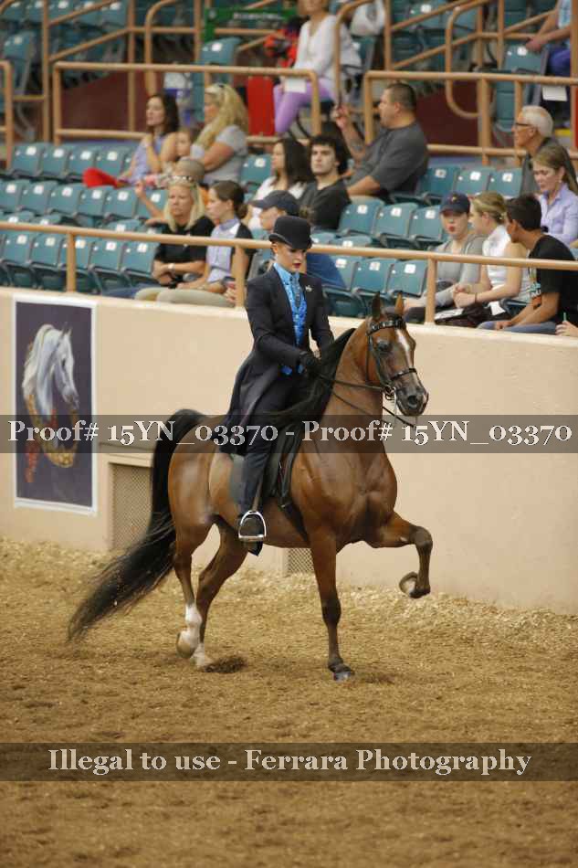 Proof 15YN_03370