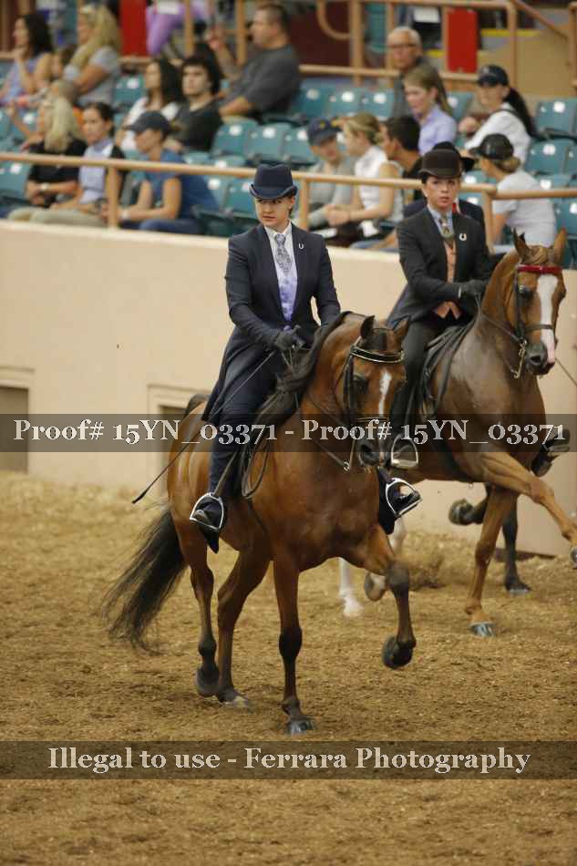 Proof 15YN_03371