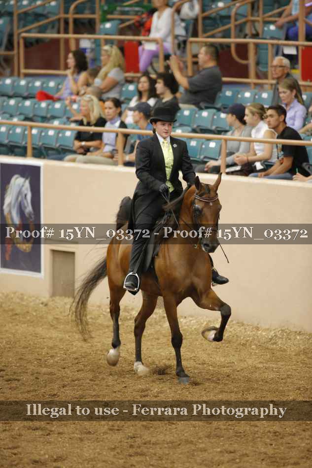 Proof 15YN_03372