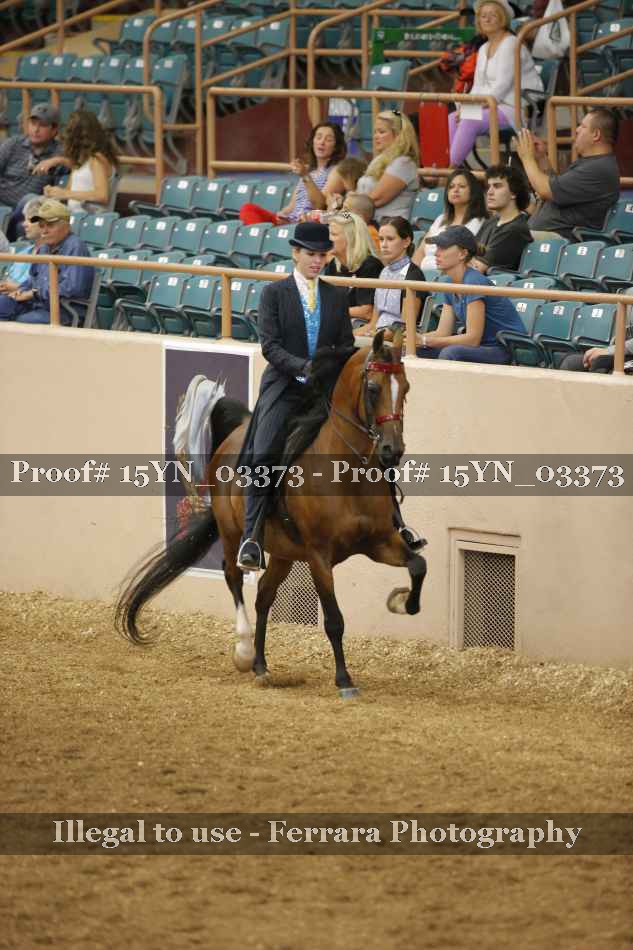 Proof 15YN_03373