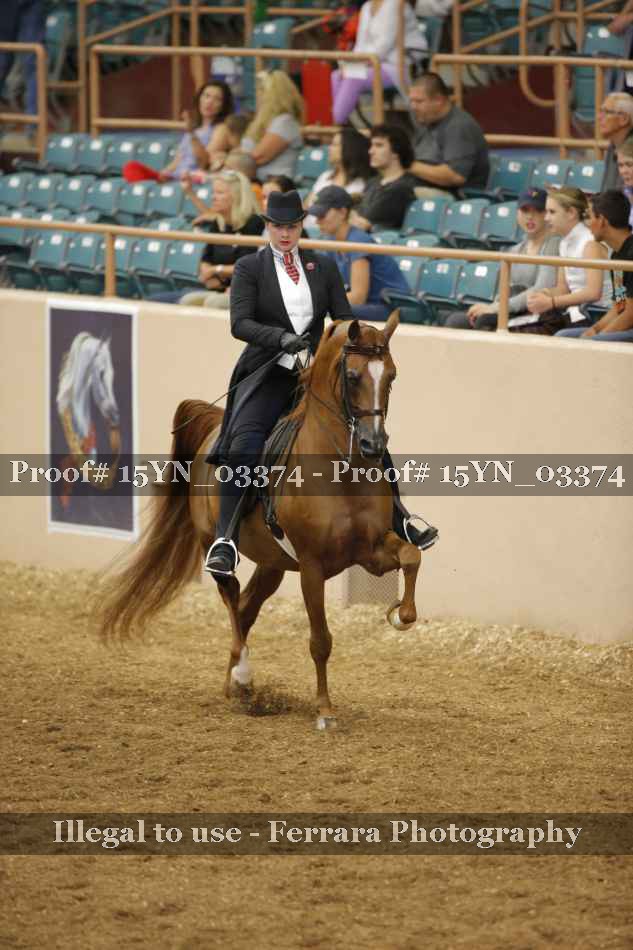 Proof 15YN_03374