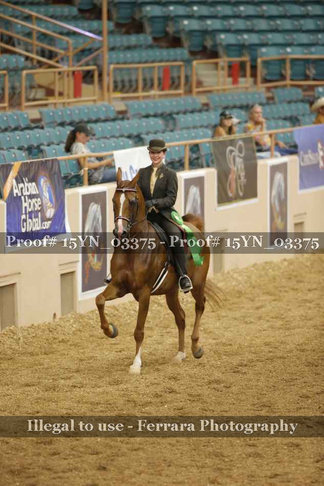 Proof 15YN_03375