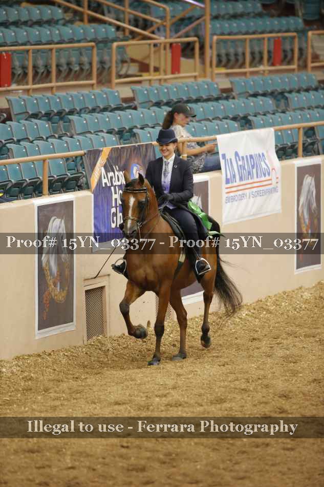 Proof 15YN_03377