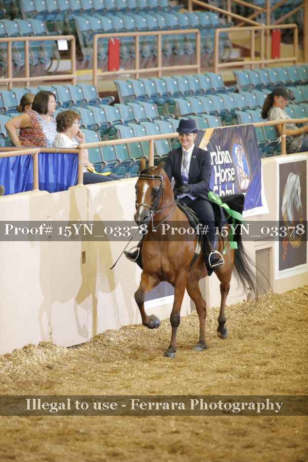 Proof 15YN_03378