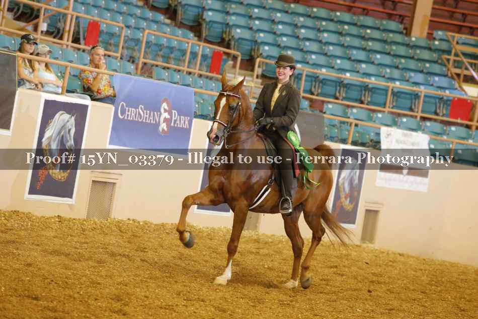 Proof 15YN_03379