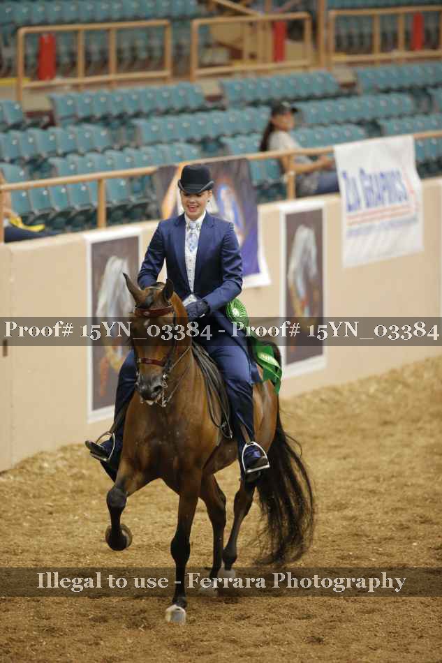 Proof 15YN_03384