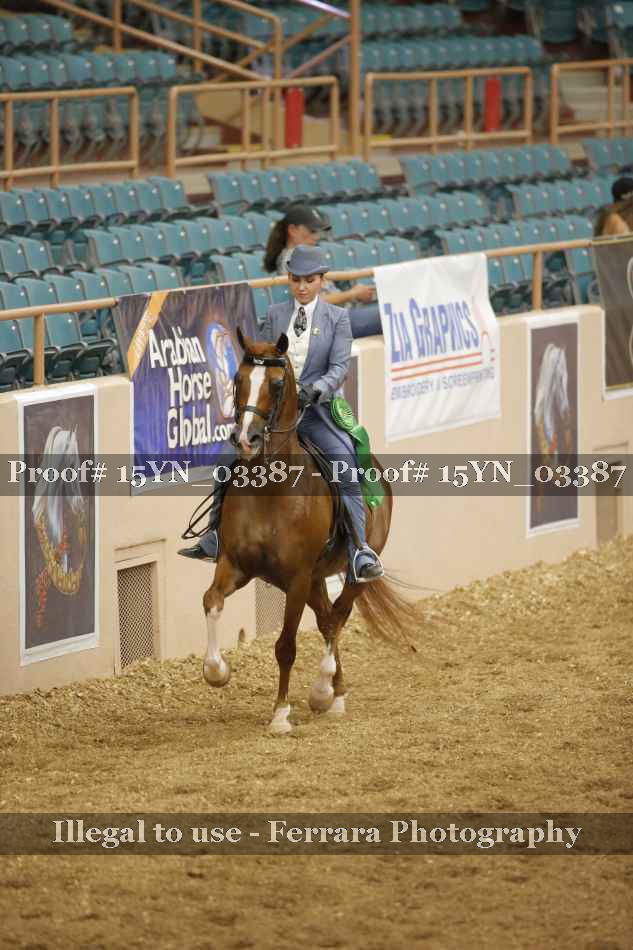 Proof 15YN_03387