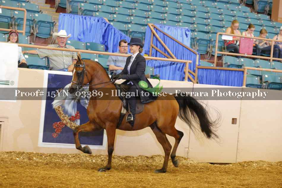 Proof 15YN_03389