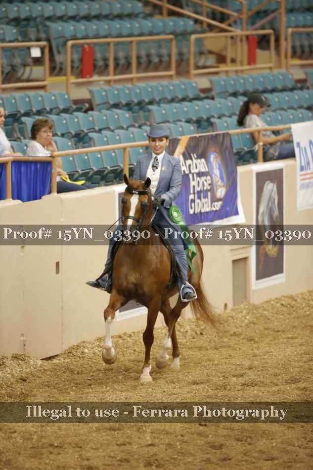 Proof 15YN_03390