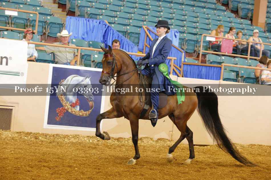Proof 15YN_03393