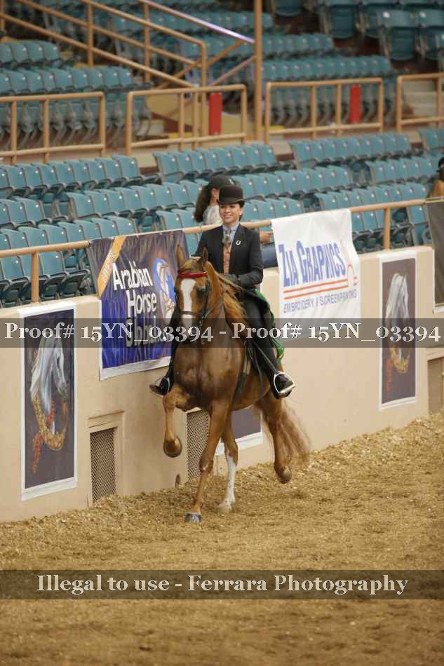 Proof 15YN_03394