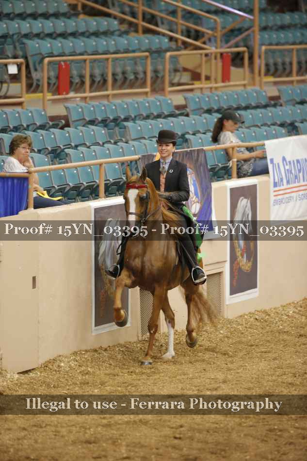 Proof 15YN_03395