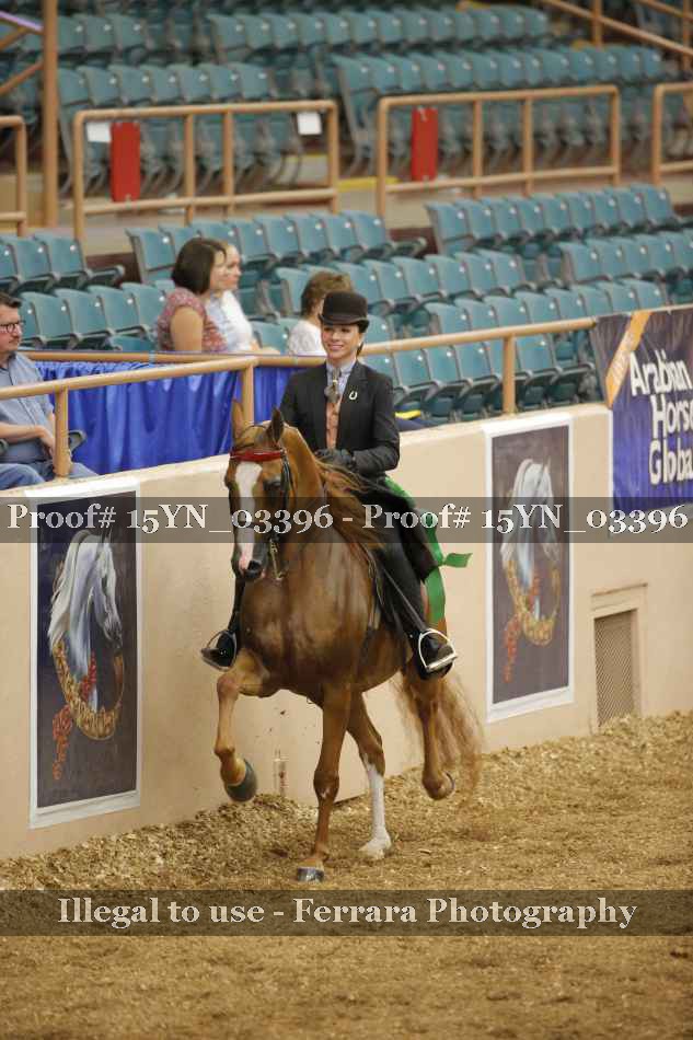 Proof 15YN_03396