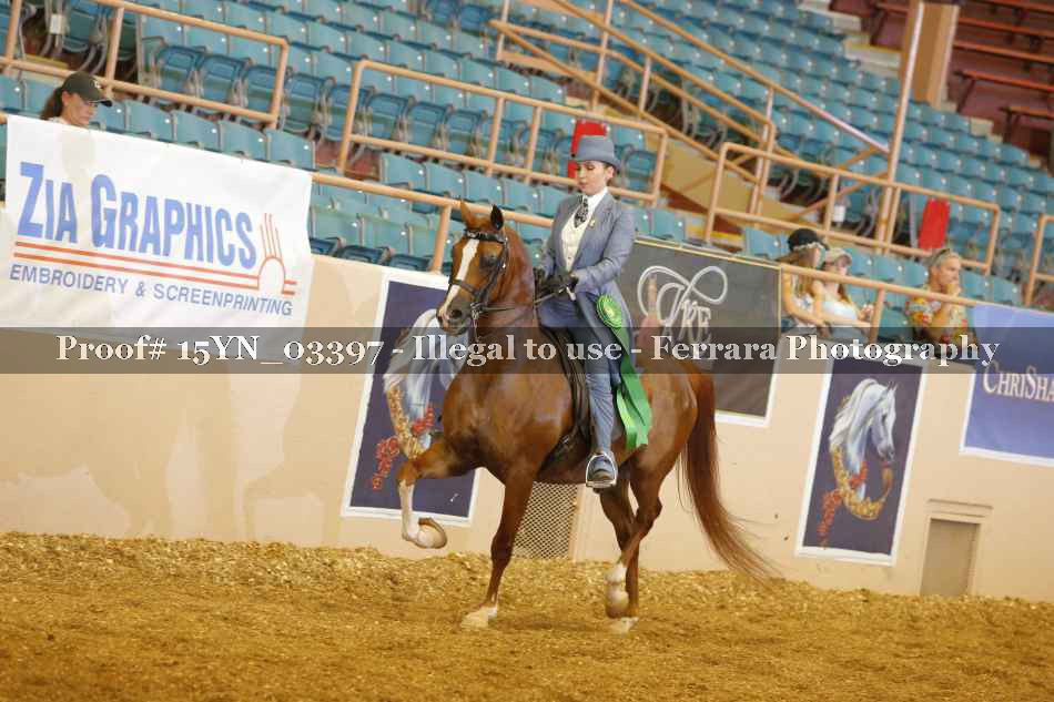 Proof 15YN_03397