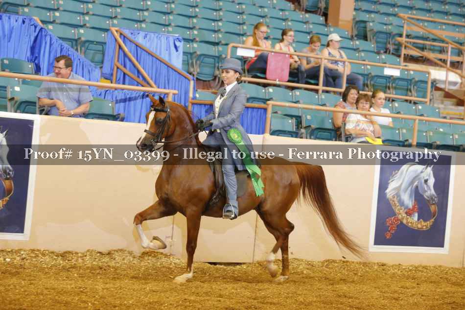 Proof 15YN_03399